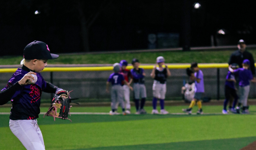 Baseball Summer Camps Up